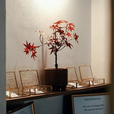 The Rubens Spagna 게스트하우스 4*